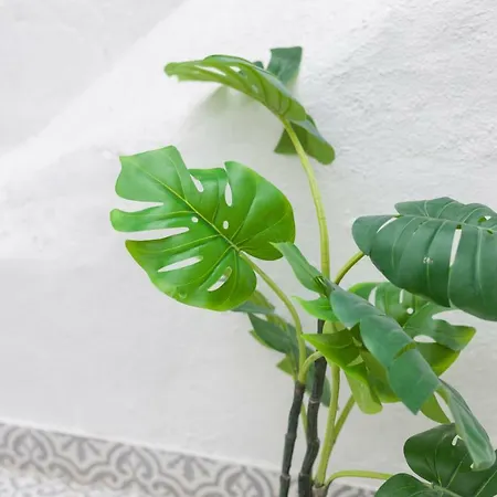 Apartment Your Bairro Alto Iii Lisbon
